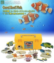 全新 日本 COLORATA 立體圖鑑 Coral Reef Fish 全12種