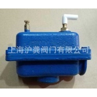 ZP-1 2 Automatic Exhaust Valve I II Float Type Exhaust Valve Cast Iron Exhaust Valve DN15 20 25 4 Po