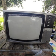 Tv singer Collection Display Rare Item