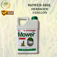MOWER 48SL HERBICIDE 1 GALLON