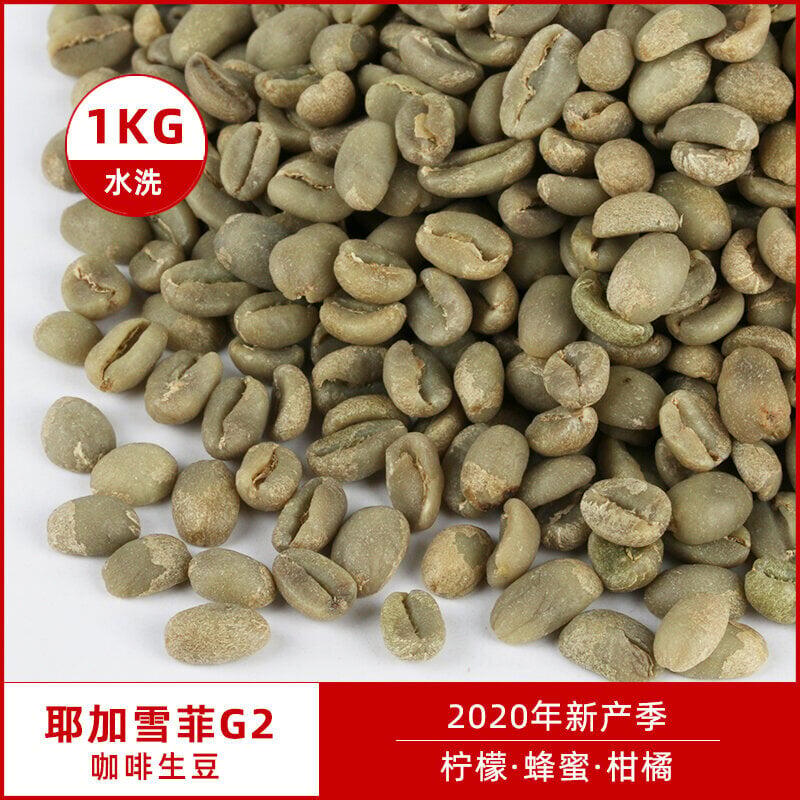 🔥新品特價🌟🉑開發票✨水洗耶加雪菲G2咖啡生豆原料 埃塞俄比亞進口耶佳雪菲豆生豆