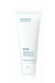 水凝透亮保濕日霜250ml Vagheggi Rehydra 100 H Hydrating Face Cream 250ml 100H|保護和滋潤長達100小時|透明質酸|保濕(平行進口)79222