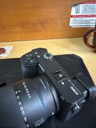 Sony a6600