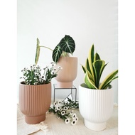 SG STOCK Tall U Pot Flower Planter Plant Pot