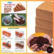 (SG Seller) Plant Deluxe Cocopeat Block Media For Vegetable and Flowers Coconut Peat Bricks Main Aac
