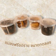(Trial Size) Freeze-Dried Sago Beetle Siding Crickets Trap