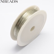 1set Round Iron Wire Silver 28 Gauge 0.3mm about 65.61 Feet(20m)/roll 10 rolls/set