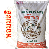 (จัดส่งฟรี) เมล็ดพันธุ์ข้าวหอมมะลิ ขาวดอกมะลิ105 กรมการข้าว (ใช้สำหรับปลูกนาปี 2568)