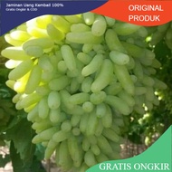 Anggur Import SUPER SONAKA (Ningrat)
