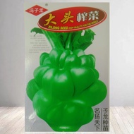 Sichuan Mustard Seeds Children's Vegetables Mustard Vegetables Big Head Vegetable Sticks Vegetables 