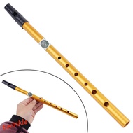 TWINKLE1 Irish Whistle Flute, 6 Hole Professional Ireland Flute, Musical Accessories Alloy D Key Mus