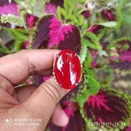Red Baron Jumbo Agate Ring (N)