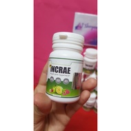 INCREA WEIGHT GAINER