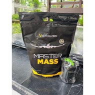 VECTORLABS MASTER MASS 12 LBS LB GAINER BONUS SHAKER 2 SACHET SUSU