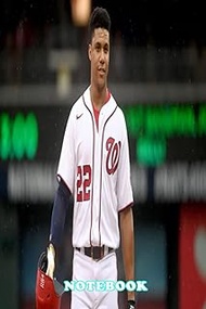 Daily Planner Notebook : Juan Soto Lined Notebook, 100 Blank Pages, Thankgiving Notebook Journal, 6x