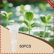 [leipupa] 50Pcs Hydroponic Growing Set Plant Growing Containers Grow Baskets Garden Accessories for 