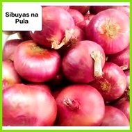 ❈ ◧ RED ONION/Sibuyas na Pula/Pulang Sibuyas250 grams,500grams,1 kilo Fresh Gulay (SHIP OUT AGAD)