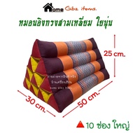 Triangle Cushion 10 Large Compartments