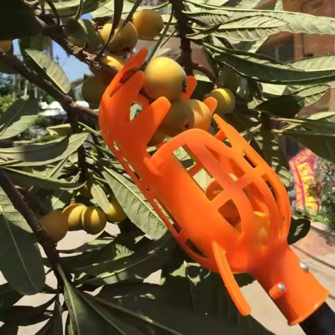 Fruit Picker Tool High Branch Harvest Device for Bayberry Loquat Plum Jujube Apricot Multifunctional