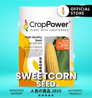Hot Item🔥 (100 GRAM) Biji Benih Jagung Manis Asia Manis 亚太甜王 SS932 CROP POWER Sweetcorn Seed  甜玉米种子 