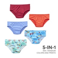 Natasha AW061 KIDS/Boy's Multicolor 5-in-1 Brief
