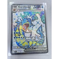 Water type - Pokemon card - Gyarados ex 225/198