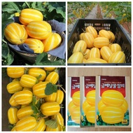 100 Hạt Giống Dưa Lê Mật Ong Hàn Quốc Gói Zin