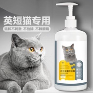 New🍧Cat British Shorthair Blue Cat Special Shower Gel Anti-Mite Sterilization Deodorant Shampoo Kittens Short Hair Bath