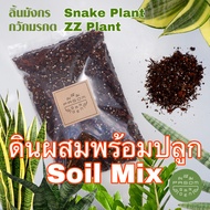 ดินผสม ปรุงสำเร็จ สูตร 11 ลิ้นมังกร(Snake Plant)กวักมรกต(ZZ Plant) Pasom Garden -  ดินปลูกต้นไม้