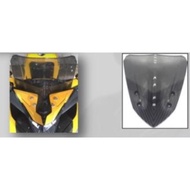 Nvx carbon Windshield