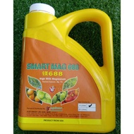 4L SMART MAG 688/ Enzyme Activator