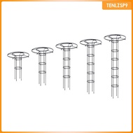 [tenlzsp9] Vertical Trellis for Garden Plants, Support Structure for Climbing Vines And Flowers