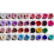 MAWAR 1 Box Preserved Rose Grade A (4-5 CM) Eternal Rose Eternal Real Dried Flowers