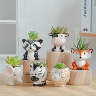 Cute cartoon animal succulent flower pot ceramic flower pot