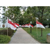 SG pole Flag without the pole