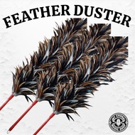 Feather Dusk Costume – Fairy Angel Feather Wings Accessory Set