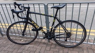 Trek Domane Road Bike