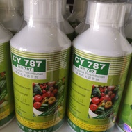 CY-787 TERBAIK DARI LADANG