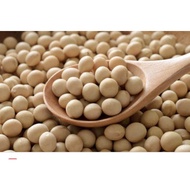 Soya Bean 1kg / 黄豆 1kg / Kacang Soya 1kg
