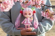 限定販售 GSC Nendoroid 黏土人 櫻初音 巨大版 L size Hatsune Miku Sakura Miku 初音未來 初音王 Large Good Smile Company fro