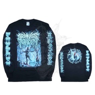 Original Longsleeve Abominable Princessdity - the Anomalies of Artificial Origin