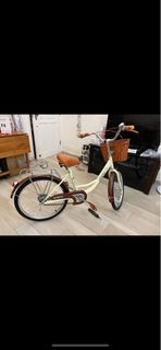 超新淨淑女單車