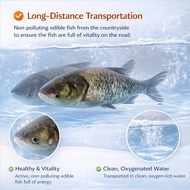 [Eco-Friendly Solar] Outdoor Solar-Powered Oxygen Pump / Solar Oxygen Pump / Fishing Oxygenator