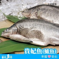 【臺北魚市】 貴妃魚500g*3包