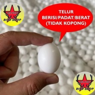 TELUR PALSU MAINAN BURUNG MERPATI TELUR PALSU MERPATI AYAM KATE TELOR TELUR PALSU MERPATI IMITASI BA