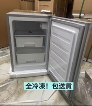 ❄️家用冰櫃 100%新 全冷凍 凍肉 母乳 冷凍食品  櫃桶 一級能源 細雪櫃 家用冰箱 Household Freezer 現貨 免運費  香港保養