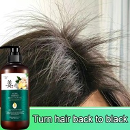 Ginger Hair Fall Shampoo Herbal Ginger Shampoo | Uban Syampoo Halia Lebat Rambut Gugur 白发黑发防脱发