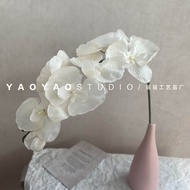 Bộ 8 Cành Hoa Lan Hạt Bướm Phong Cách Châu Âu Bằng Nhựa Mềm Trang Trí Nhà Thủ Công Mỹ Nghệ Tianjin W