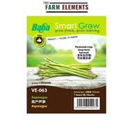 CLEARANCE Baba VE-063 Smart Grow F1 Asparagus Seed (20 Seeds)