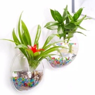 Dijual aquarium tempel dinding -hanging aquarium Murah